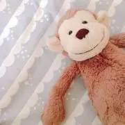 ことみんの画像
