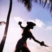 aloha断捨離中の画像
