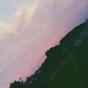 LSD