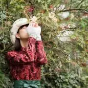 優美の画像