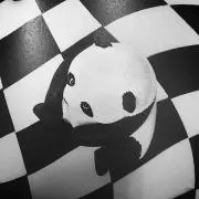 トムトムの画像