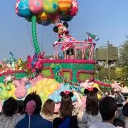 のぞみの画像