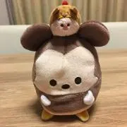 ガーベラの画像