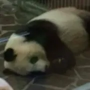 アンパンマン★