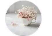 mamachan♡の画像