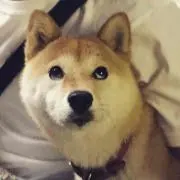ひろぽん