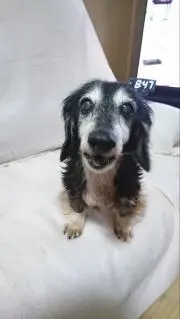 かずやん