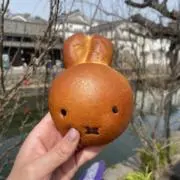 Nanaの画像