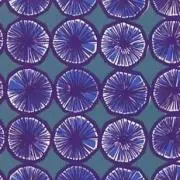 Pois bleuの画像