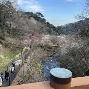 takeの画像