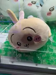 shika→プロフ要確認の画像