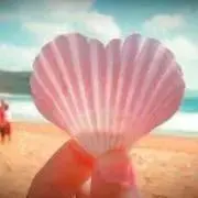fafaの画像