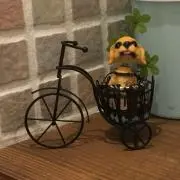 あかりんご