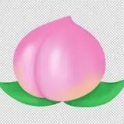 momocoの画像