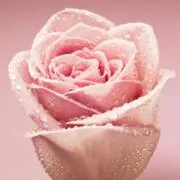 あい♡