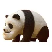 えびちゃんの画像