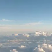 にらの画像