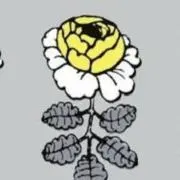 pipiの画像