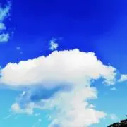シシガミ