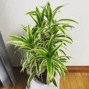 しょたろ