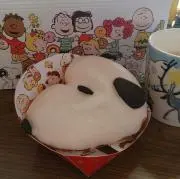 リトマスの画像