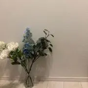 ★affimity★の画像