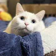 もち、引越のため断捨離始めてます！の画像