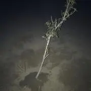 Meke375の画像