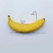 ひろの画像