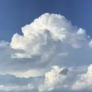 ちゅんの画像