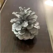 silver