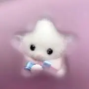 らの画像