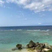 はるぼんの画像
