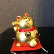 まあちゃんの画像