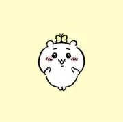 ひめの画像