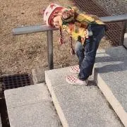 ネの画像