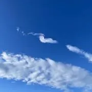 peachの画像
