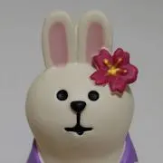 USAGi6。の画像