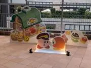 くるみの画像