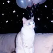 アマネーゼ^^の画像