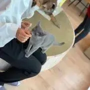 こう