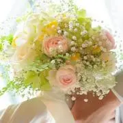taneの画像