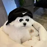 さら
