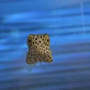 kentarosu★96【プロフ必読】の画像