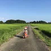 k.の画像