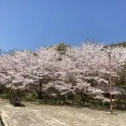 Ritamaの画像