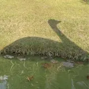 uの画像