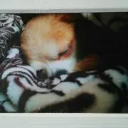 りすぼん☆プロフ必読☆