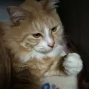 あたえ