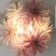 yyyyyyyの画像